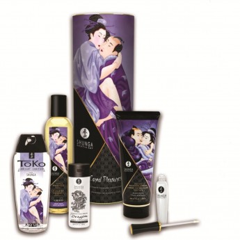 Подарочный набор SHUNGA CARNAL PLEASURES (ПЛОТСКИЕ УТЕХИ) 9007 SG